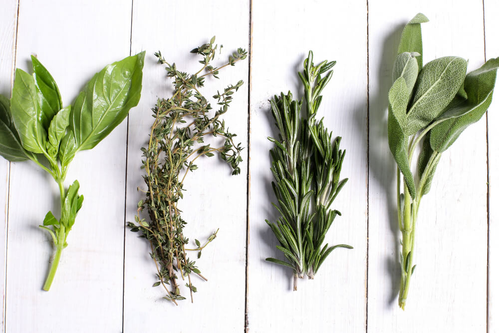 Quand planter des herbes aromatiques ?