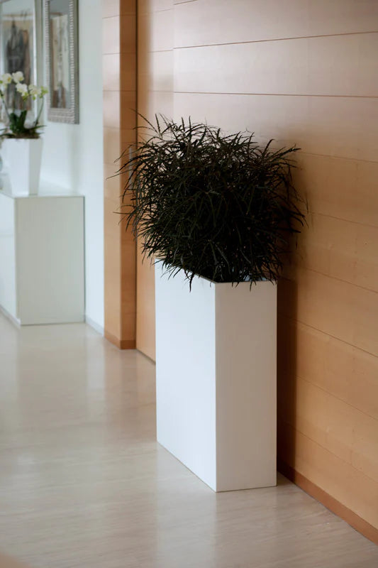 Pflanzgefäß - Wand