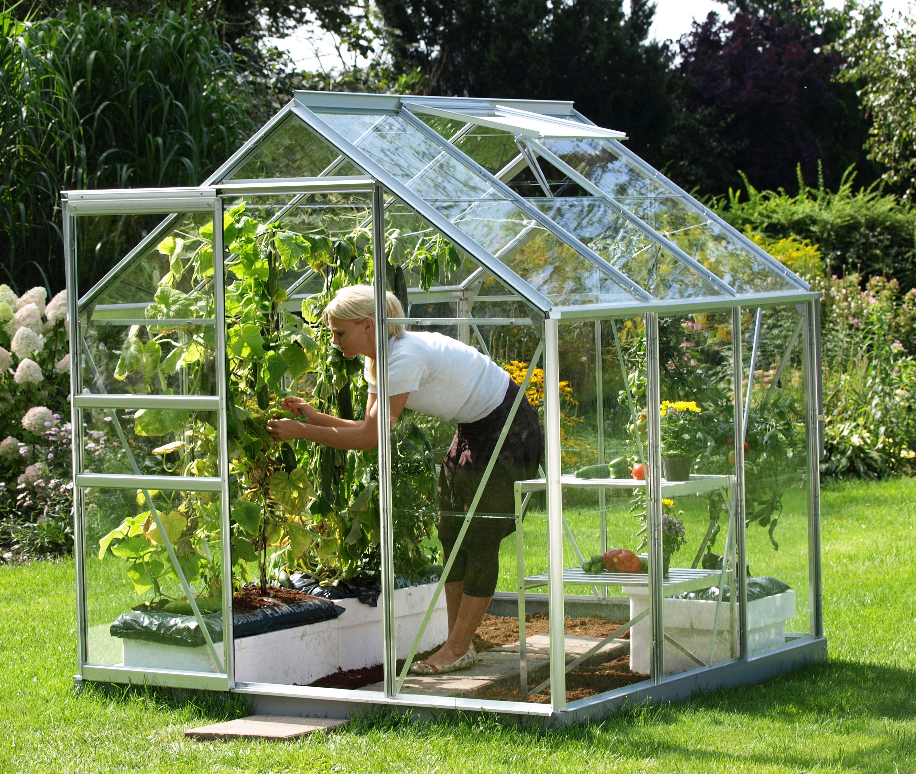mini serre de jardin en verre 3m2
