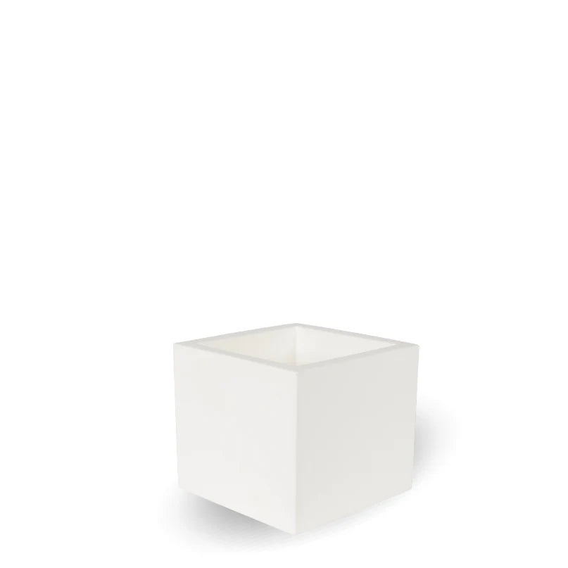 Topf - Narzisse 50 cm
