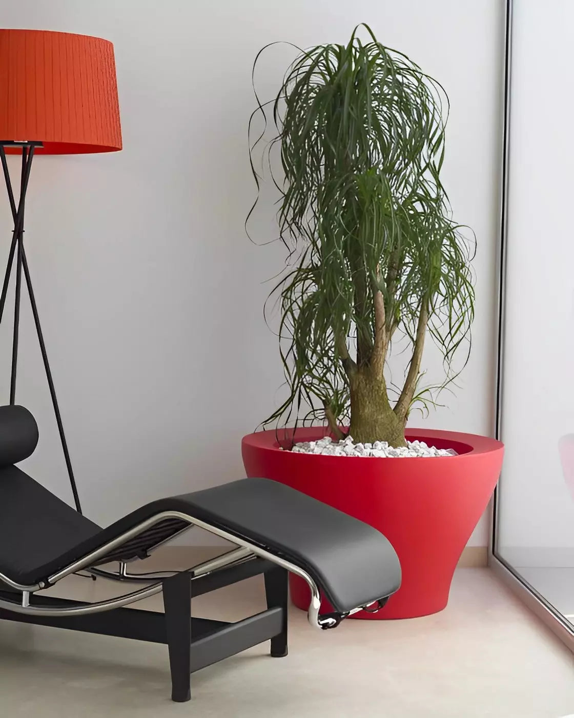 jardiniere vasque rond et haut