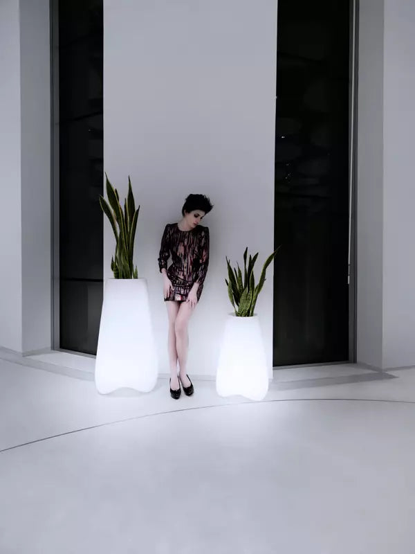 Kann - PAL