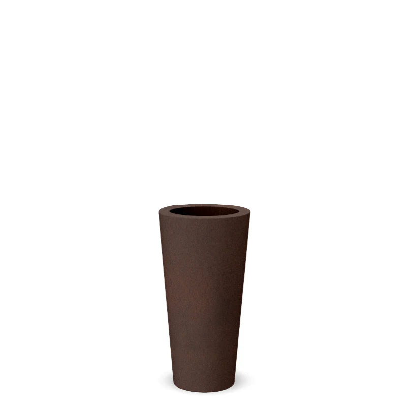 Topf - Ficus