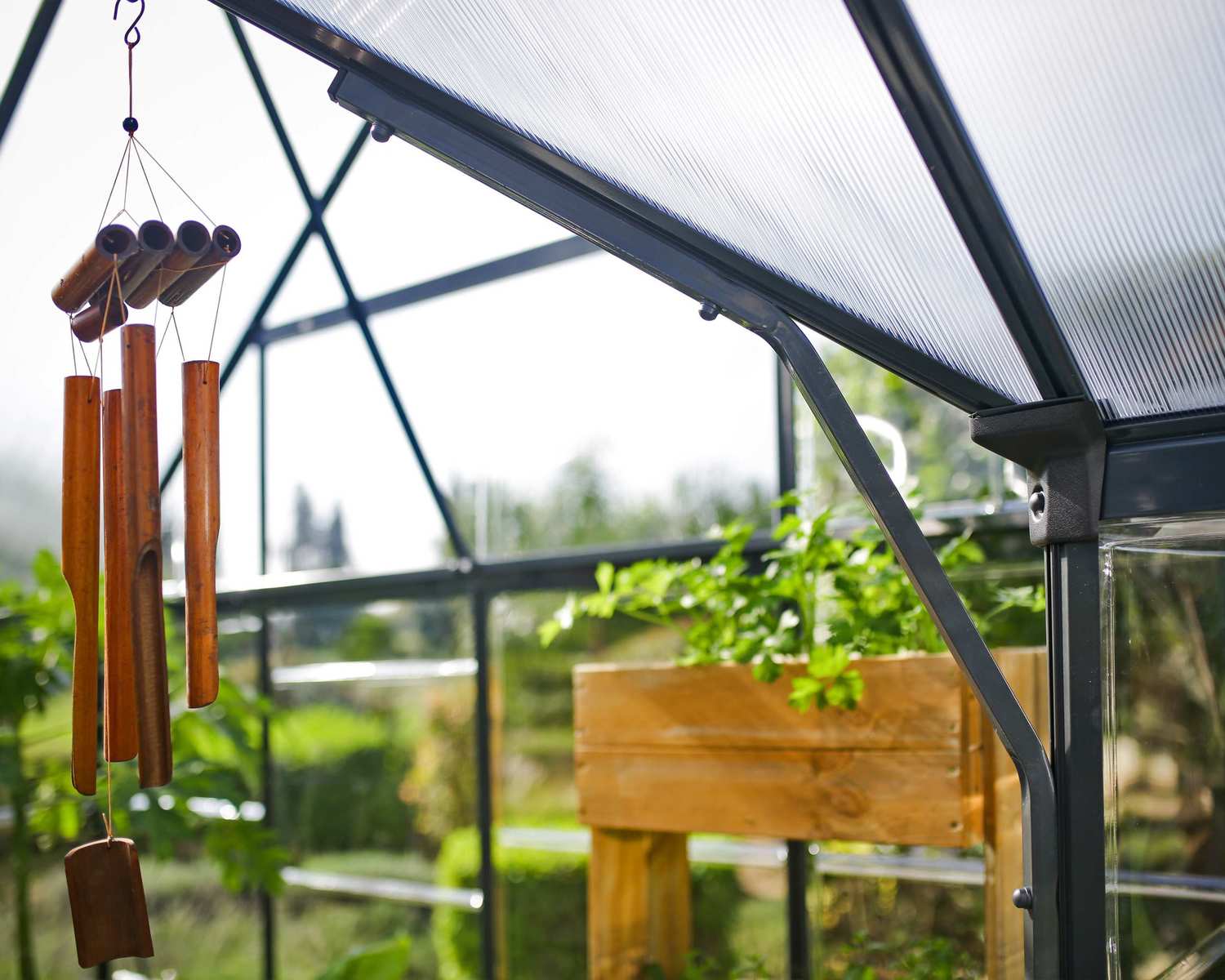 Orangerie - Sieg 11,1m²