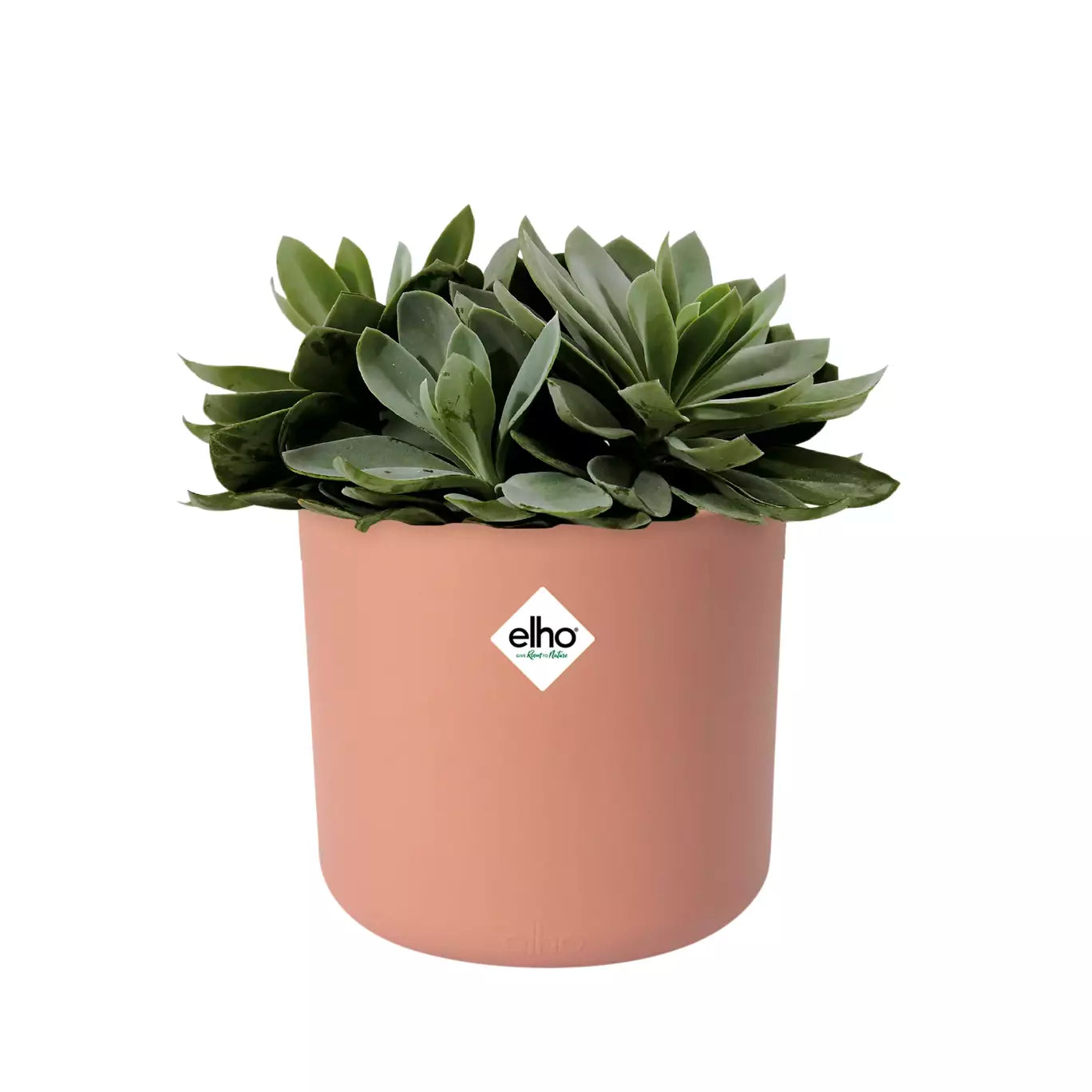 Recycelbarer Kunststoffblumentopf <br> B. für Soft