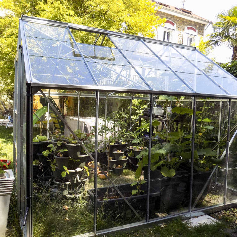 Gewächshaus - Carvi 8,1m²