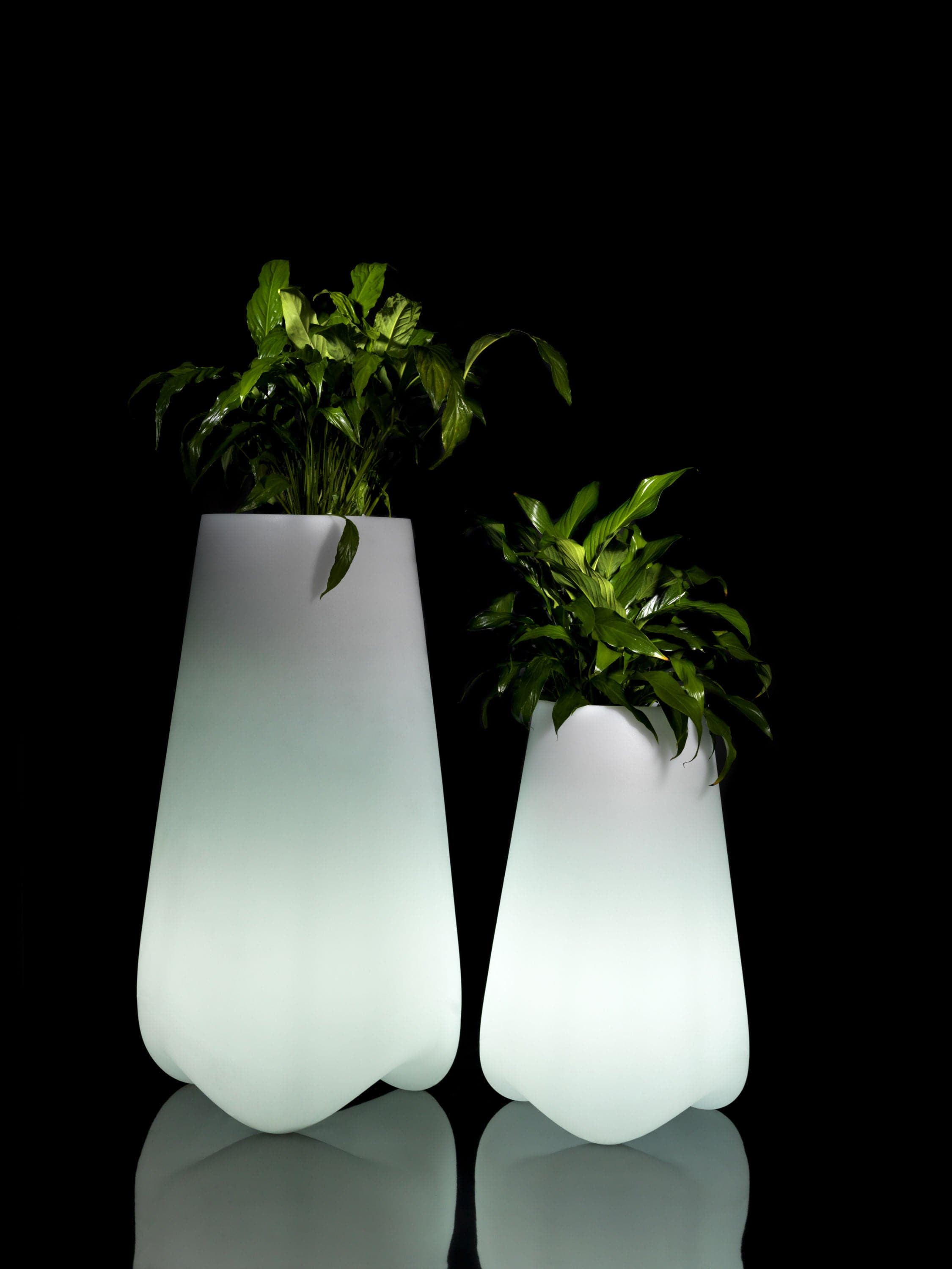 Topf - PAL LED