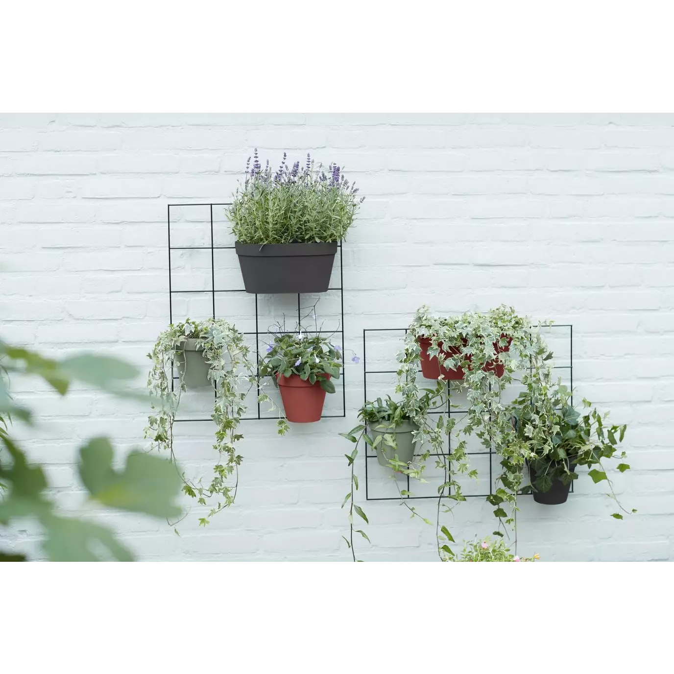 Wandtopf aus Kunststoff <br> Wandduo (x10)