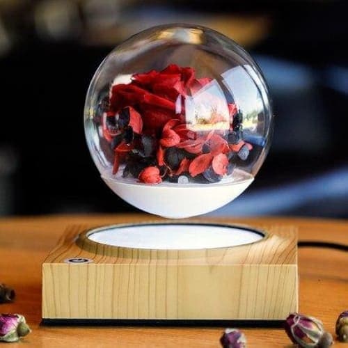 Blumentopf auf Ständer <br> Glaskugel Magnetische Levitation