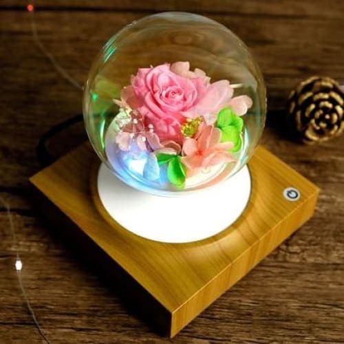 Blumentopf auf Ständer <br> Glaskugel Magnetische Levitation