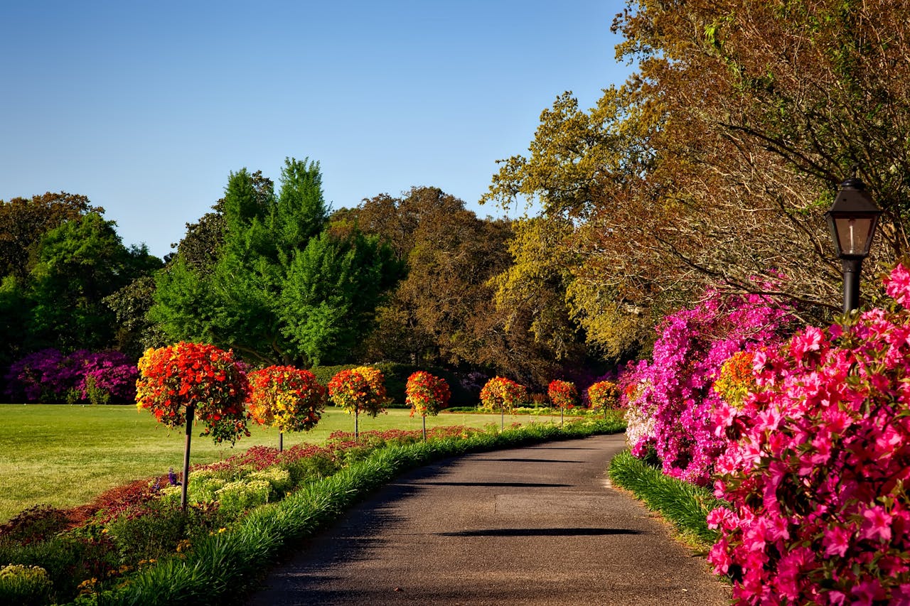 Combien Coûte Un Jardin ?