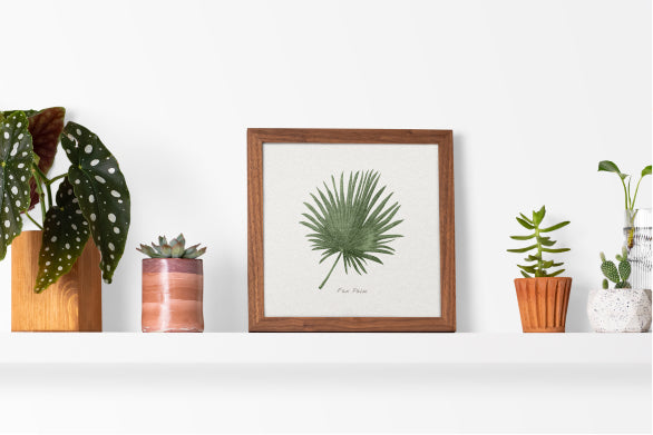 Les 10 secrets de l'encadrement sur mesure pour sublimer vos tableaux avec une touche végétale