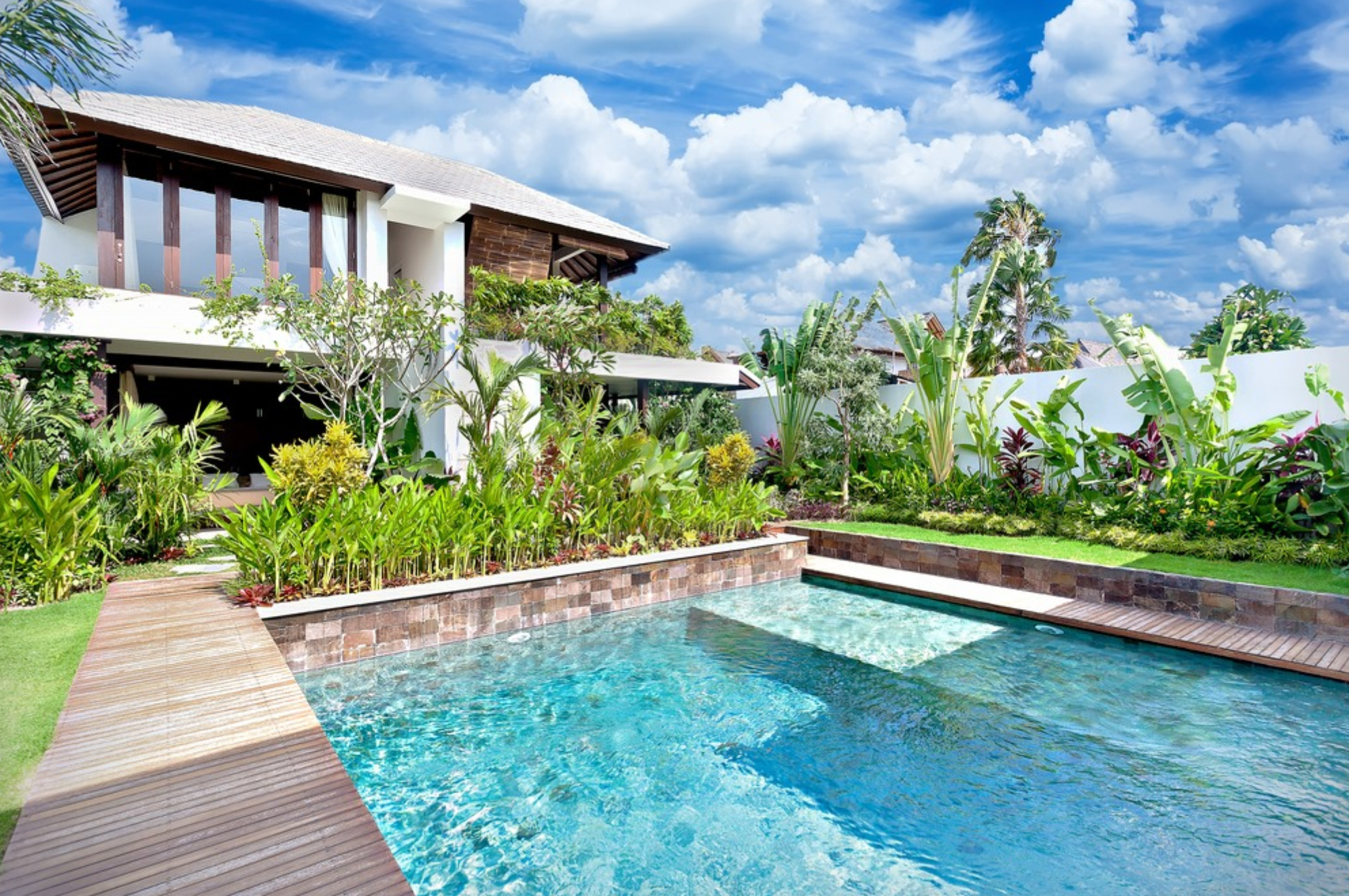 plantes fleurs, arbre, arbuste planter autour piscine