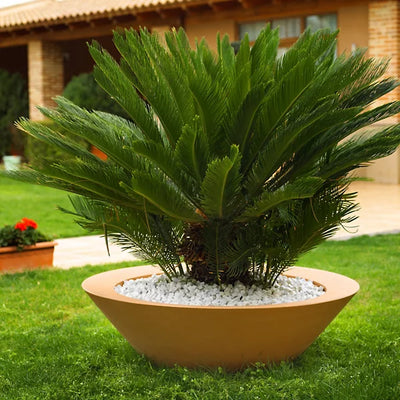 jardinière rond jaune