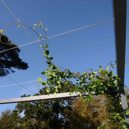 Pergola <br> Dach