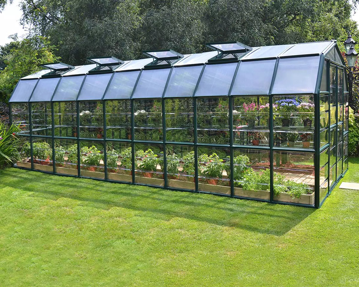 Serre-Jardin-Polycarbonate-Transparent-16.9 m²-pas-cher