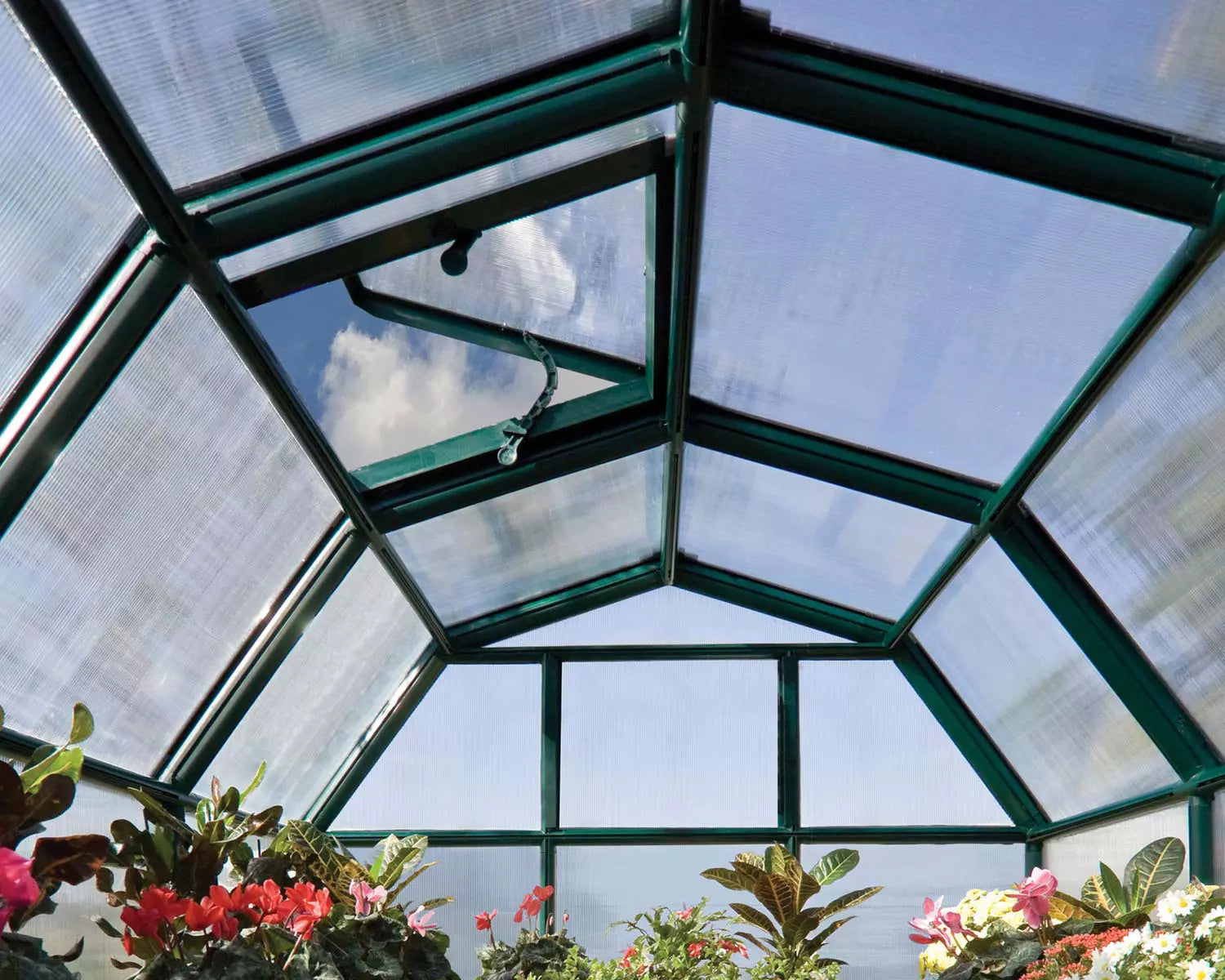 achat-serre-jardin--polycarbonate