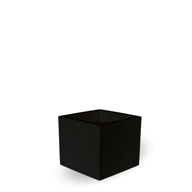 Topf - Narzisse 50 cm