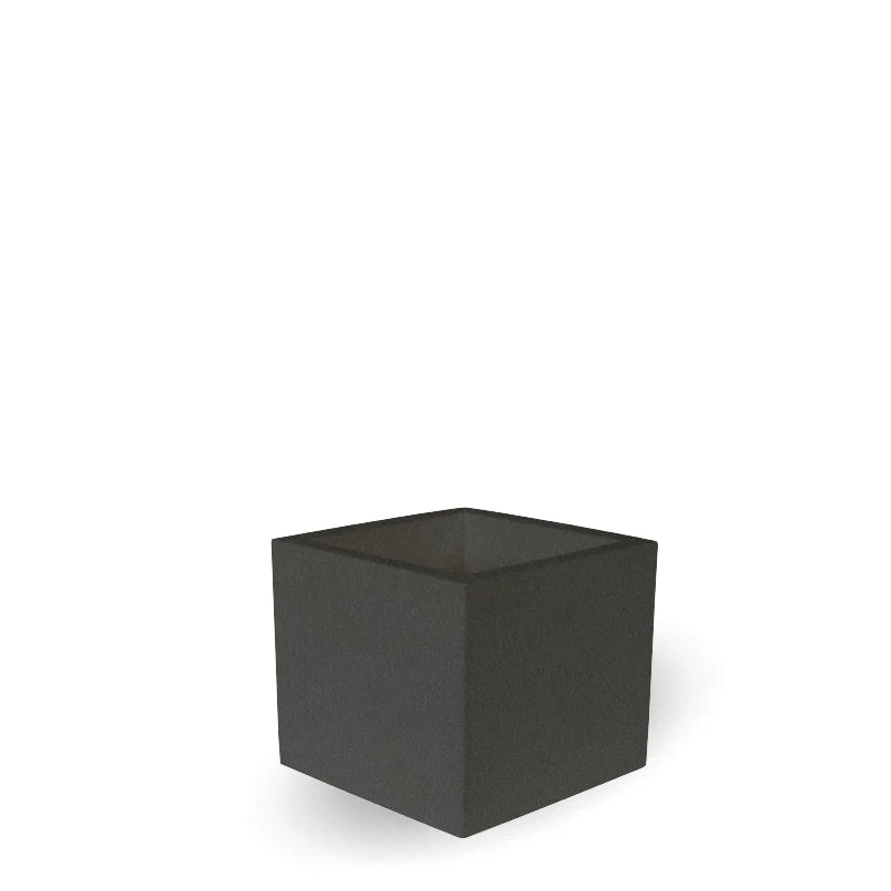 Topf - Narzisse 50 cm