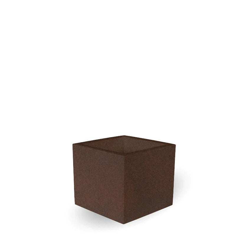 Topf - Narzisse 50 cm