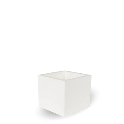 Topf - Narzisse 50 cm