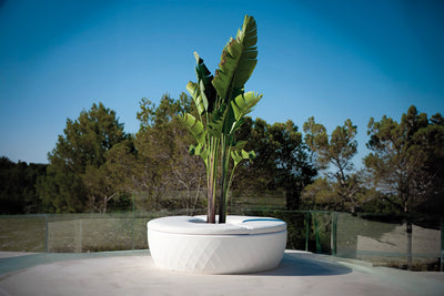 jardinière vase blanche banc