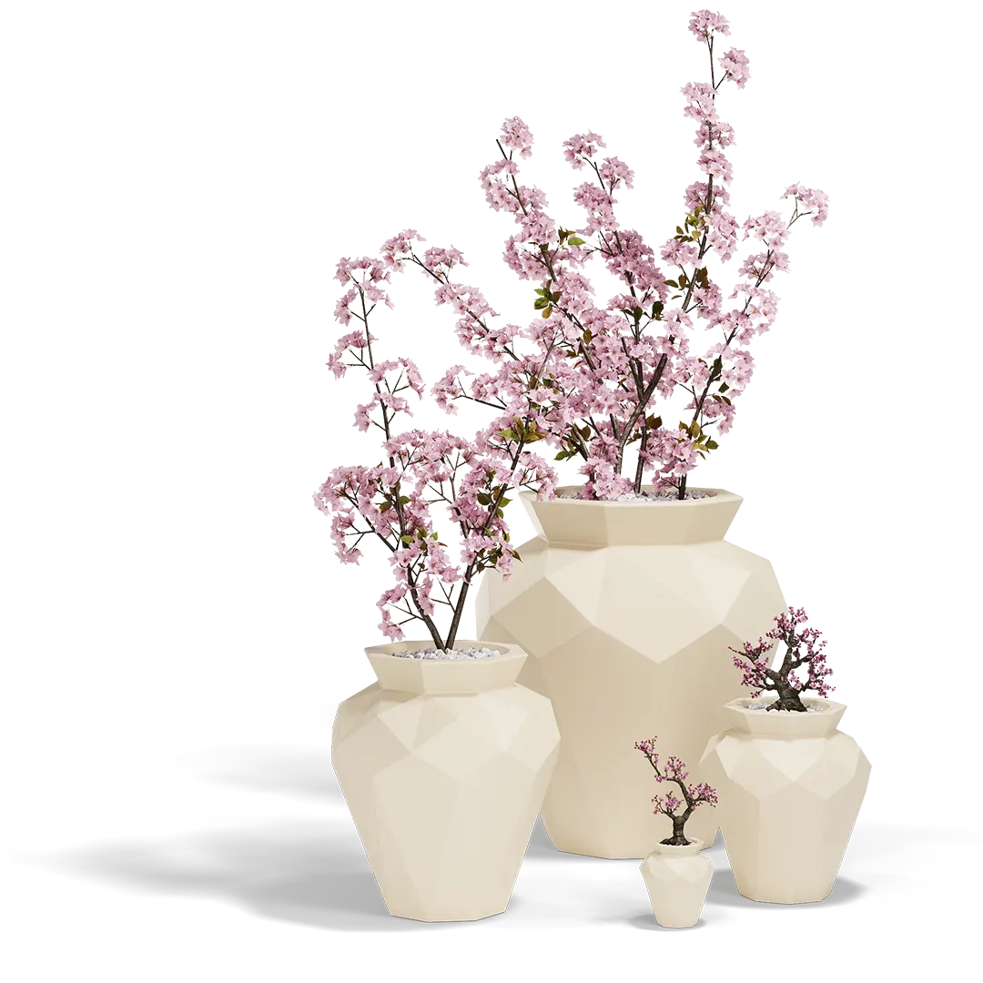 Topf - Hanami