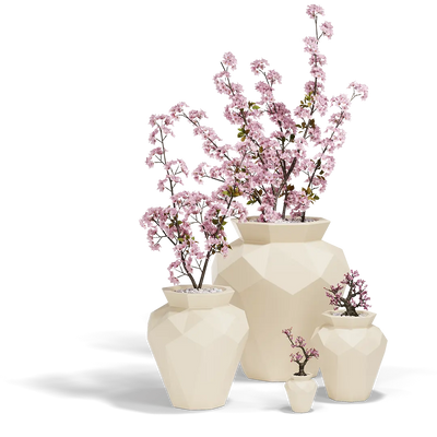 Topf - Hanami
