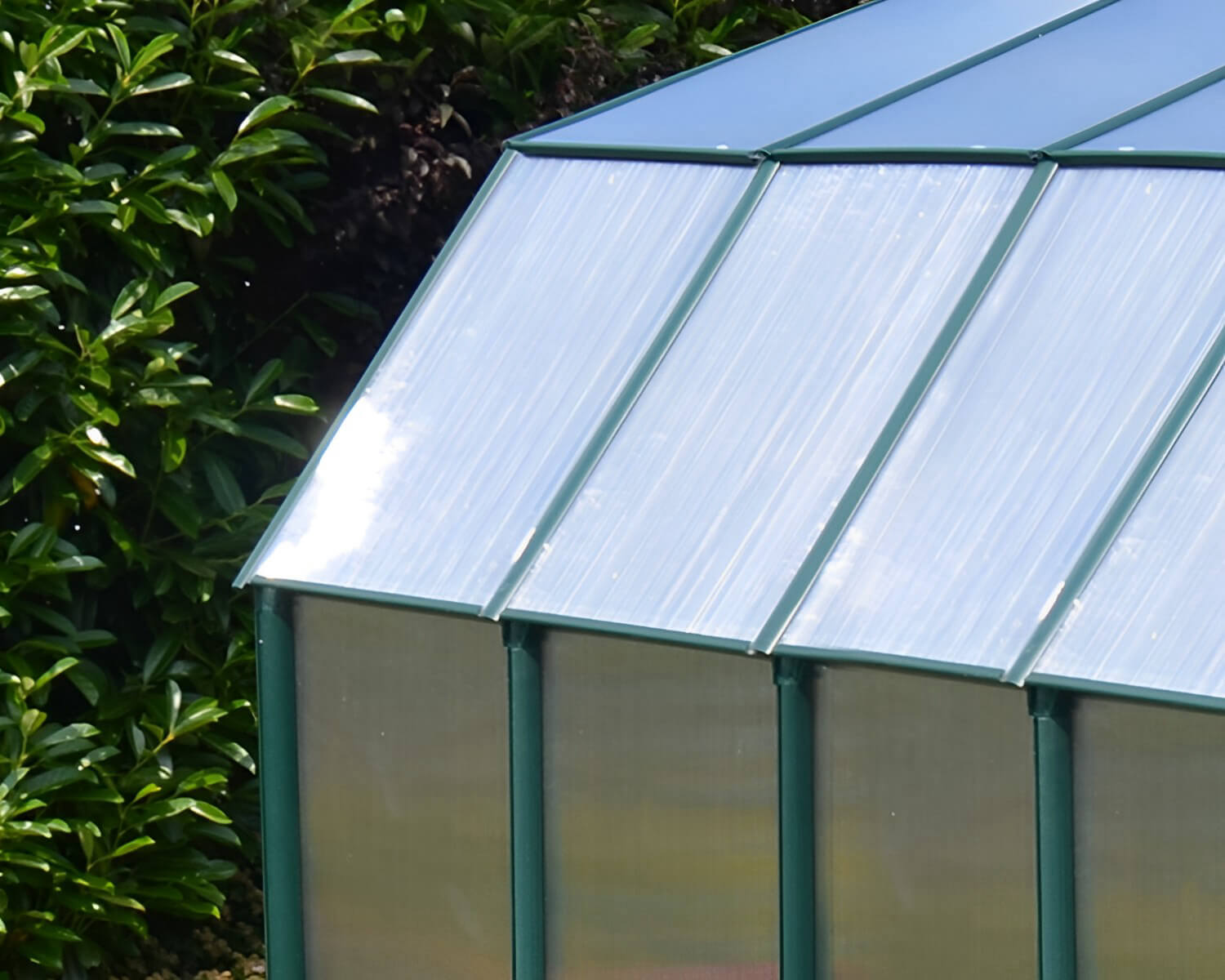 Serre - Hobbygärtner 7 m²