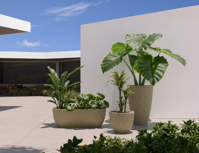 Jardinières Vases plantées sur une terrasse