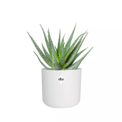 Recycelbarer Kunststoffblumentopf <br> B. für Soft