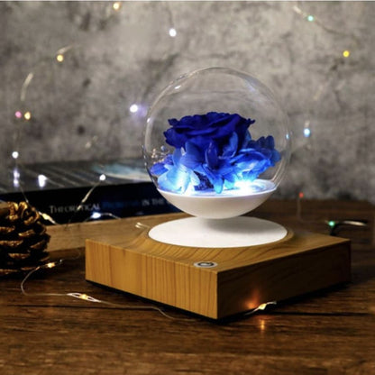 Blumentopf auf Ständer <br> Glaskugel Magnetische Levitation