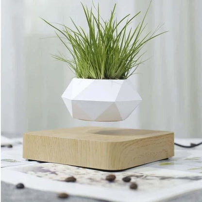 Pot de fleurs qui flotte