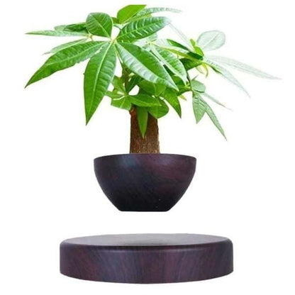 Pot <br> Babylonien