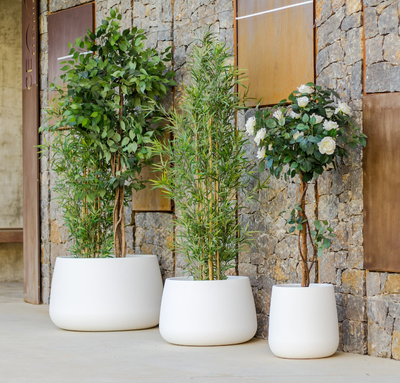 pot de fleurs blanc