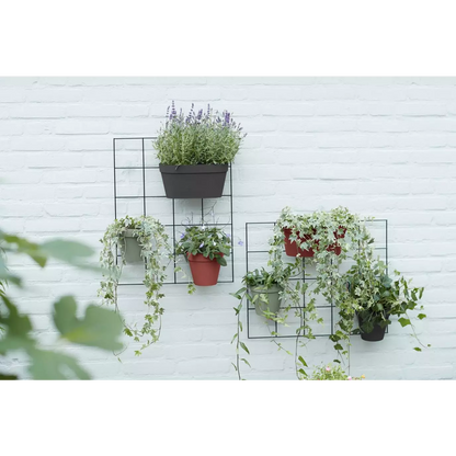 Wandtopf aus Kunststoff <br> Wandduo (x10)