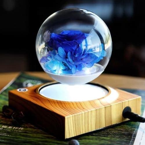 Blumentopf auf Ständer <br> Glaskugel Magnetische Levitation